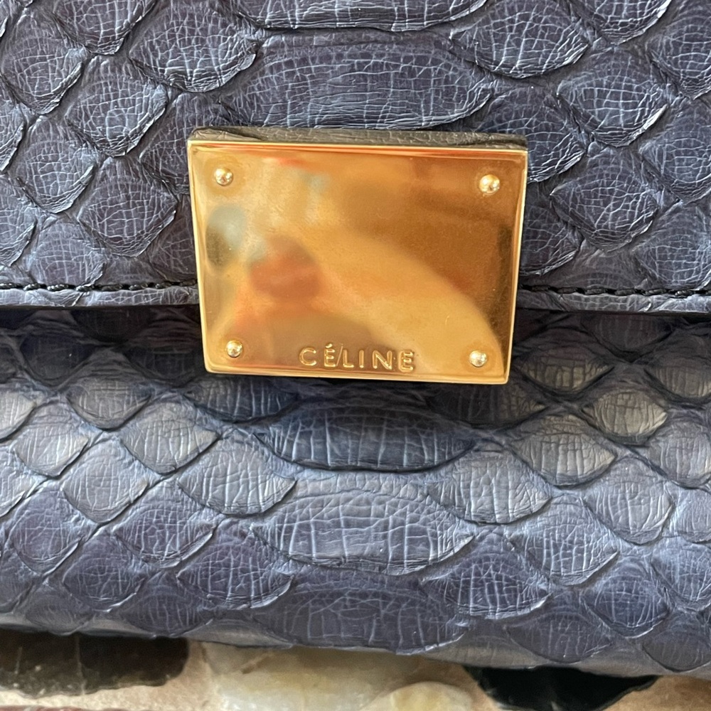 CÉLINE Python Trapeze Bag - Picture 2 of 8
